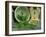 Fresh Garden Peas in an Old Colander with Old Salter Scales and Seed Packet-Michelle Garrett-Framed Photographic Print