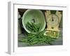 Fresh Garden Peas in an Old Colander with Old Salter Scales and Seed Packet-Michelle Garrett-Framed Photographic Print