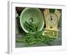 Fresh Garden Peas in an Old Colander with Old Salter Scales and Seed Packet-Michelle Garrett-Framed Photographic Print