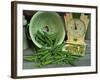 Fresh Garden Peas in an Old Colander with Old Salter Scales and Seed Packet-Michelle Garrett-Framed Photographic Print