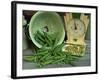 Fresh Garden Peas in an Old Colander with Old Salter Scales and Seed Packet-Michelle Garrett-Framed Photographic Print