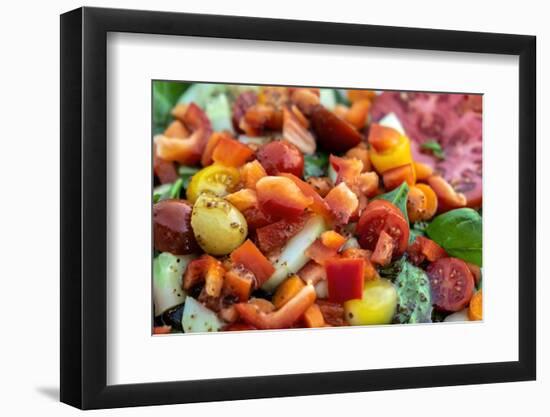 Fresh garden salad, USA-Lisa Engelbrecht-Framed Photographic Print