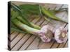 Fresh Garlic on Teak Table, Clos Des Iles, Le Brusc, Var, Cote d'Azur, France-Per Karlsson-Stretched Canvas