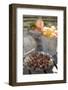 Fresh Gooseberries, Apricots and Peaches on Garden Table-Eising Studio - Food Photo and Video-Framed Photographic Print