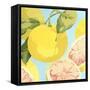 Fresh Grapefruits-Martha Negley-Framed Stretched Canvas