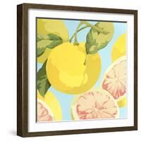 Fresh Grapefruits-Martha Negley-Framed Giclee Print