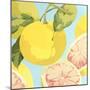Fresh Grapefruits-Martha Negley-Mounted Giclee Print