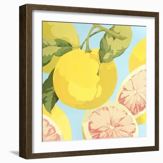 Fresh Grapefruits-Martha Negley-Framed Premium Giclee Print