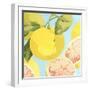 Fresh Grapefruits-Martha Negley-Framed Premium Giclee Print