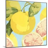 Fresh Grapefruits-Martha Negley-Mounted Premium Giclee Print