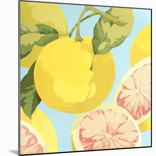 Fresh Grapefruits-Martha Negley-Mounted Premium Giclee Print