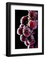 Fresh Grapes with Drops-Gresei-Framed Photographic Print