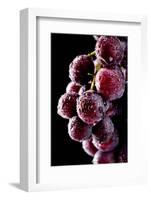 Fresh Grapes with Drops-Gresei-Framed Photographic Print