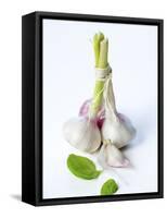 Fresh Green Garlic-Ira Leoni-Framed Stretched Canvas