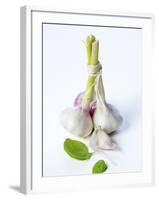 Fresh Green Garlic-Ira Leoni-Framed Photographic Print