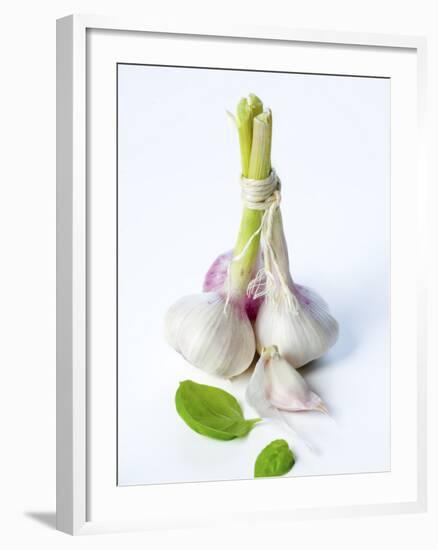 Fresh Green Garlic-Ira Leoni-Framed Photographic Print