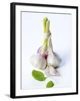 Fresh Green Garlic-Ira Leoni-Framed Photographic Print