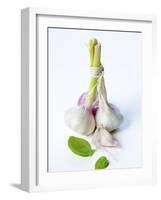 Fresh Green Garlic-Ira Leoni-Framed Photographic Print