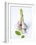 Fresh Green Garlic-Ira Leoni-Framed Photographic Print