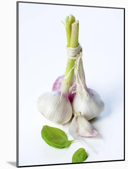 Fresh Green Garlic-Ira Leoni-Mounted Photographic Print