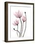 Fresh Growth 1-Doris Charest-Framed Art Print