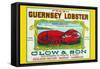 Fresh Guernsey Lobster-null-Framed Stretched Canvas