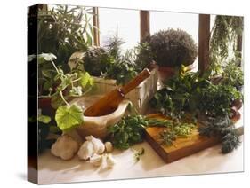 Fresh Herb Still Life-Eising Studio - Food Photo and Video-Stretched Canvas