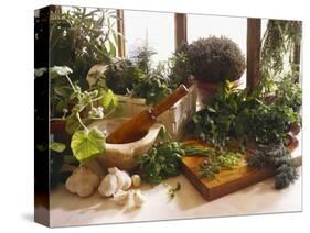Fresh Herb Still Life-Eising Studio - Food Photo and Video-Stretched Canvas