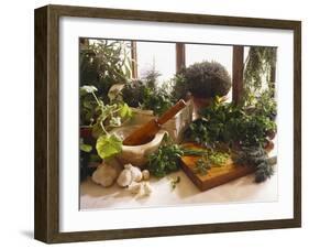 Fresh Herb Still Life-Eising Studio - Food Photo and Video-Framed Photographic Print