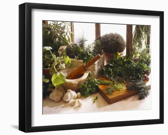 Fresh Herb Still Life-Eising Studio - Food Photo and Video-Framed Photographic Print