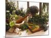 Fresh Herb Still Life-Eising Studio - Food Photo and Video-Mounted Photographic Print