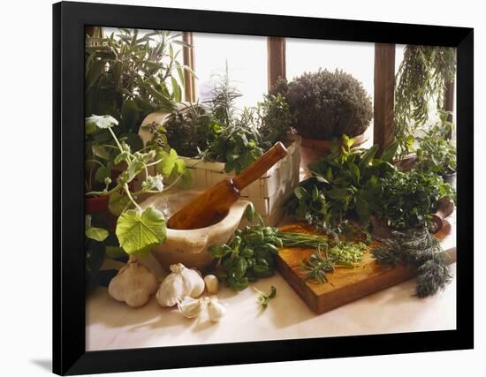 Fresh Herb Still Life-Eising Studio - Food Photo and Video-Framed Photographic Print