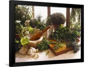 Fresh Herb Still Life-Eising Studio - Food Photo and Video-Framed Photographic Print