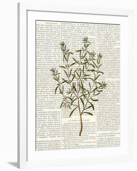 Fresh Herbs 2-Kimberly Allen-Framed Art Print