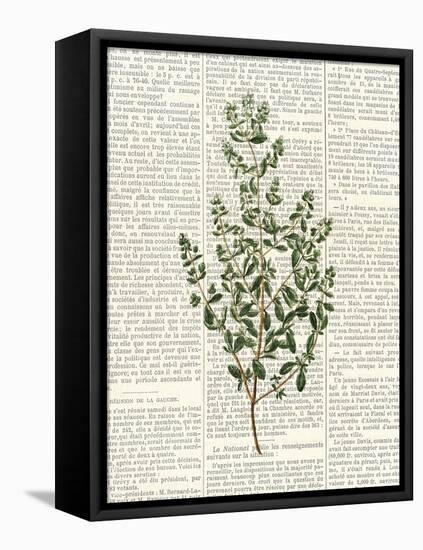 Fresh Herbs 3-Kimberly Allen-Framed Stretched Canvas