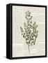 Fresh Herbs 3-Kimberly Allen-Framed Stretched Canvas