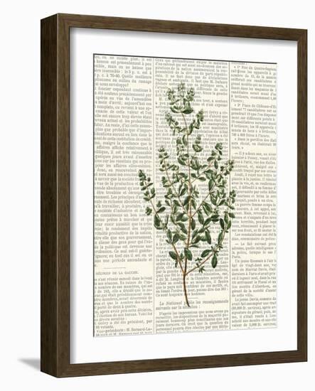 Fresh Herbs 3-Kimberly Allen-Framed Art Print