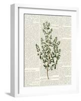 Fresh Herbs 3-Kimberly Allen-Framed Art Print