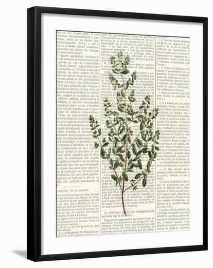 Fresh Herbs 3-Kimberly Allen-Framed Art Print