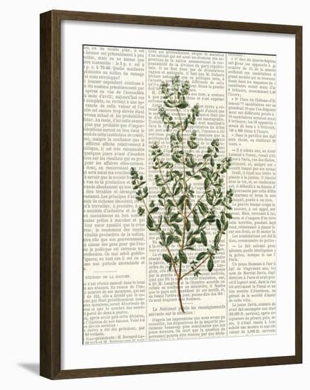 Fresh Herbs 3-Kimberly Allen-Framed Art Print