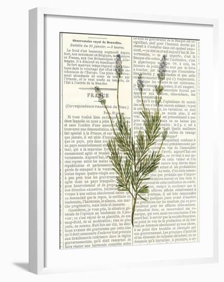 Fresh Herbs 4-Kimberly Allen-Framed Art Print