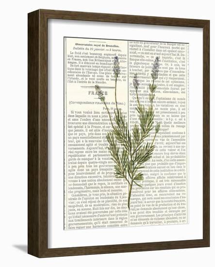 Fresh Herbs 4-Kimberly Allen-Framed Art Print