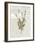 Fresh Herbs 4-Kimberly Allen-Framed Art Print