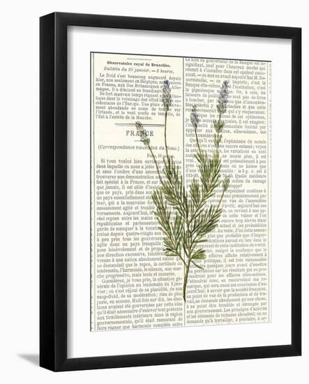 Fresh Herbs 4-Kimberly Allen-Framed Art Print