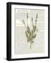 Fresh Herbs 4-Kimberly Allen-Framed Art Print