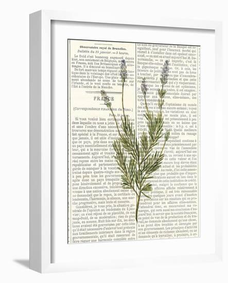 Fresh Herbs 4-Kimberly Allen-Framed Art Print