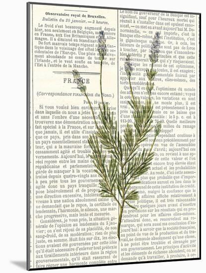 Fresh Herbs 4-Kimberly Allen-Mounted Art Print