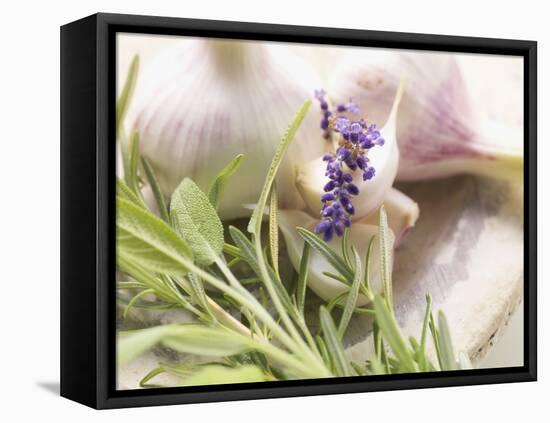 Fresh Herbs and Garlic-Eising Studio - Food Photo and Video-Framed Stretched Canvas