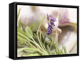 Fresh Herbs and Garlic-Eising Studio - Food Photo and Video-Framed Stretched Canvas