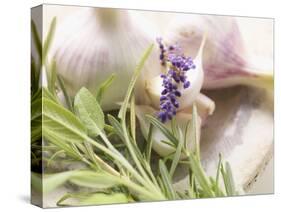Fresh Herbs and Garlic-Eising Studio - Food Photo and Video-Stretched Canvas